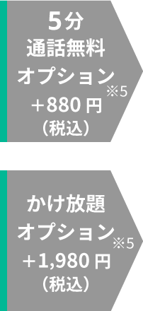 5分通話無料+880円(税込) かけ放題+1,980円(税込)